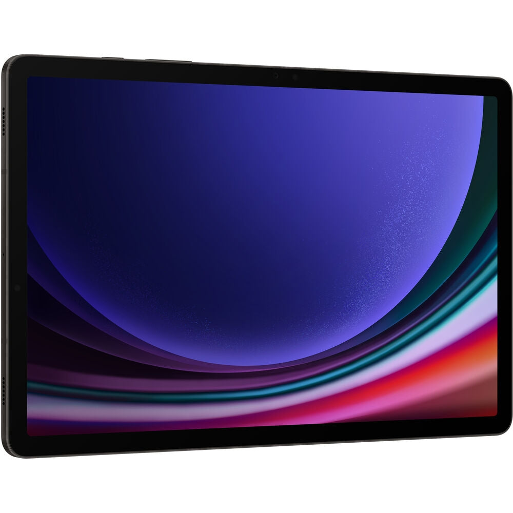 Samsung Galaxy Tab S9 11" Tablet 256GB Wi-Fi Only Graphite SM-X710NZAEXAR