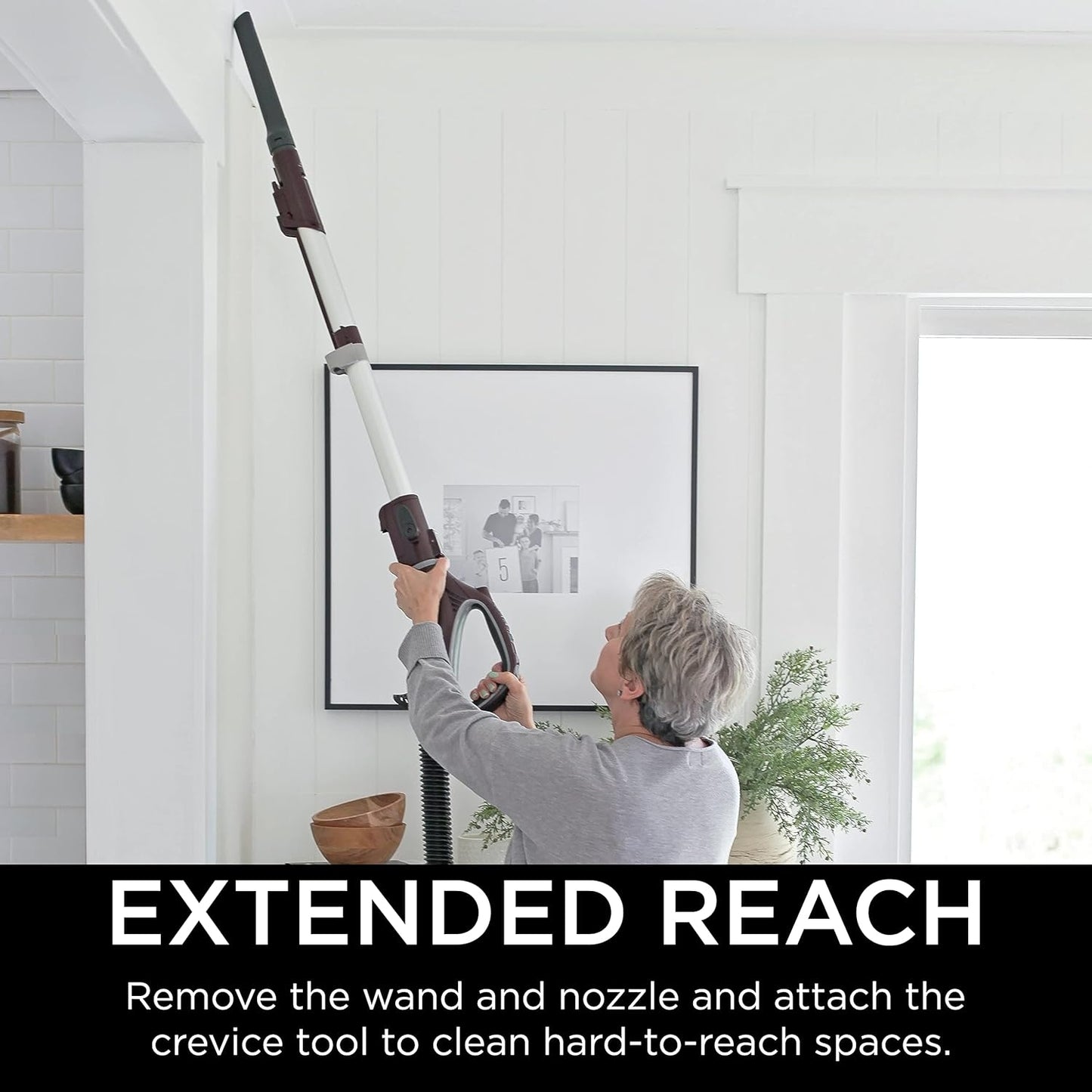 Shark NV752 Rotator Powered Lift-Away TruePet Upright Vacuum w/ HEPA Filter