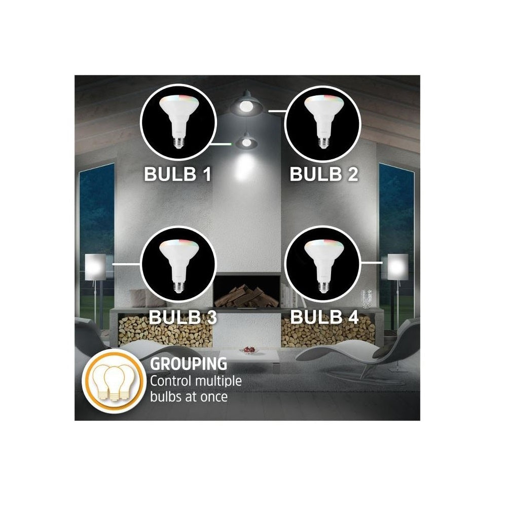 Energizer Connect Smart Wi-Fi BR30 White And Multi-Colored LED Flood Light Bulb 2-Pack EBC2-1002-PP2
