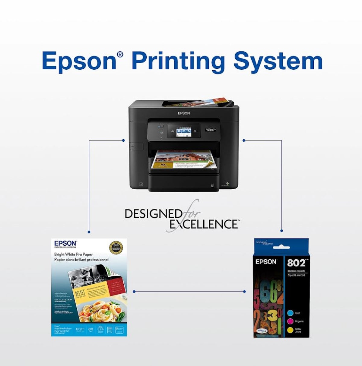 Epson T802XL/T802 Black High Yield & Cyan/Magenta/Yellow Standard Yield Ink Cartridge
