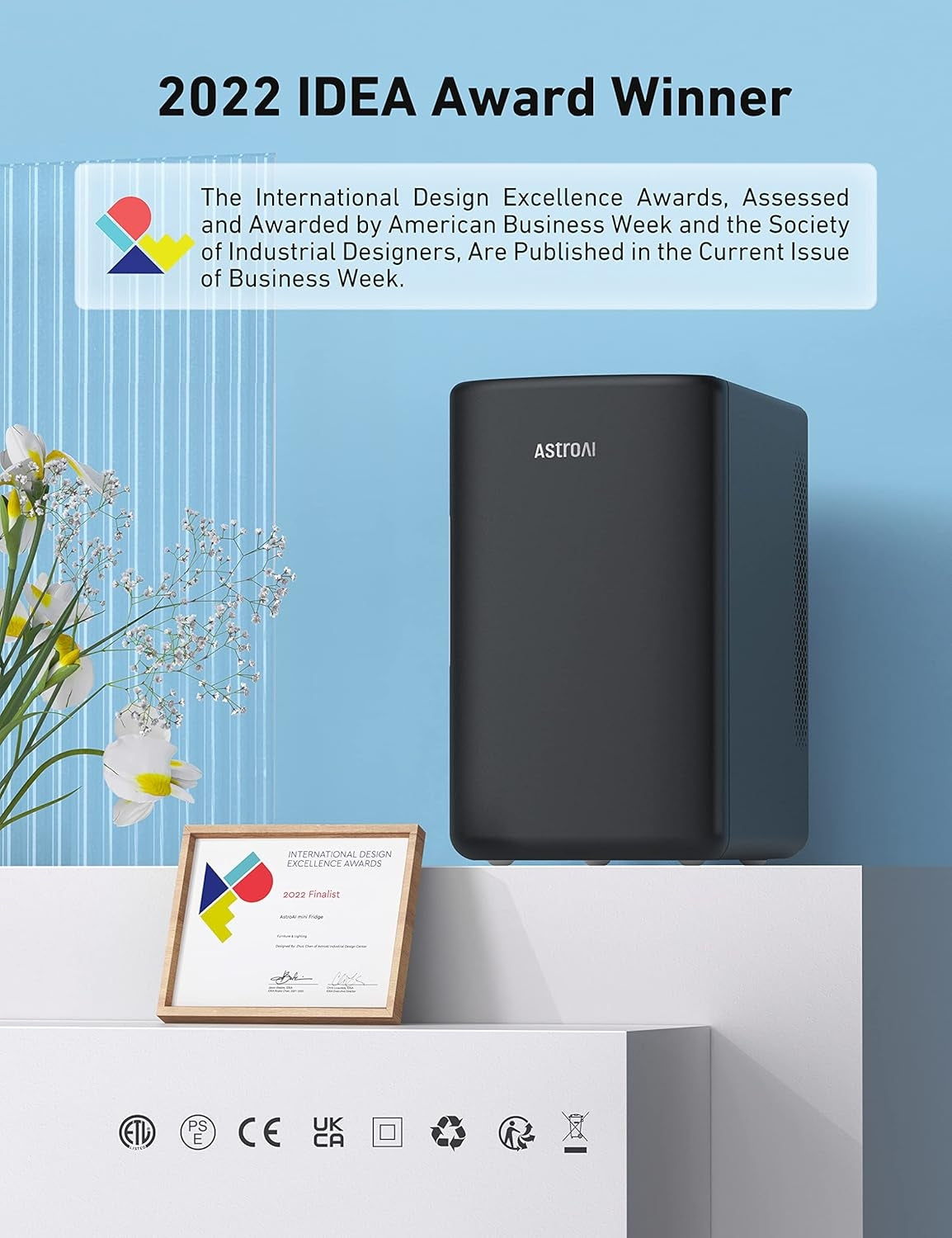 AstroAI Mini Fridge 2.0 Gen, 6 Liter/8 Cans Makeup Skincare Fridge 110V AC/ 12V DC  LY2206A Black