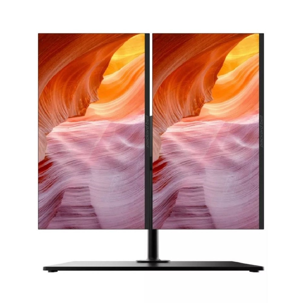Packard Bell airFrame 43" 1080p 75 Hz 5ms Dual Monitor Workstation HDMI, VGA WS21500