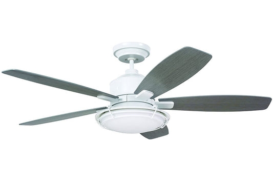 Emerson Rockpointe 54" Outdoor Wet Satin White Ceiling Fan Light Driftwood Blades CF630SW