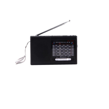 TECHNICAL PRO HN-315UA Portable 9-Band FM/AM/SW Radio with Rechargeable Li-ion Battery, USB, Micro TF Card & MP3 Player