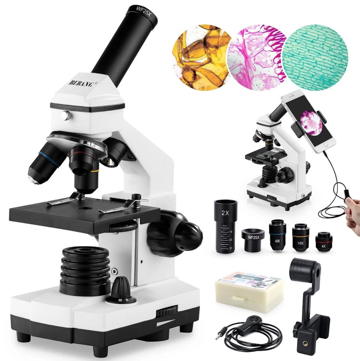 BEBANG 100X-2000X Microscopes for Kids Students Adults with Slides Set ...