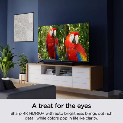 Roku 50" 4K LED Smart Roku TV Streaming Capability TV Apps Wi-Fi 50R4A4