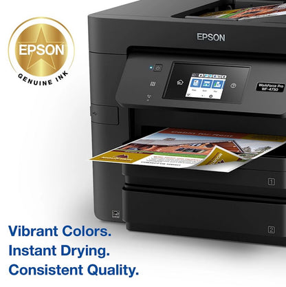 Epson T802XL/T802 Black High Yield & Cyan/Magenta/Yellow Standard Yield Ink Cartridge