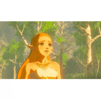 The Legend of Zelda: Breath of the Wild - Nintendo Switch