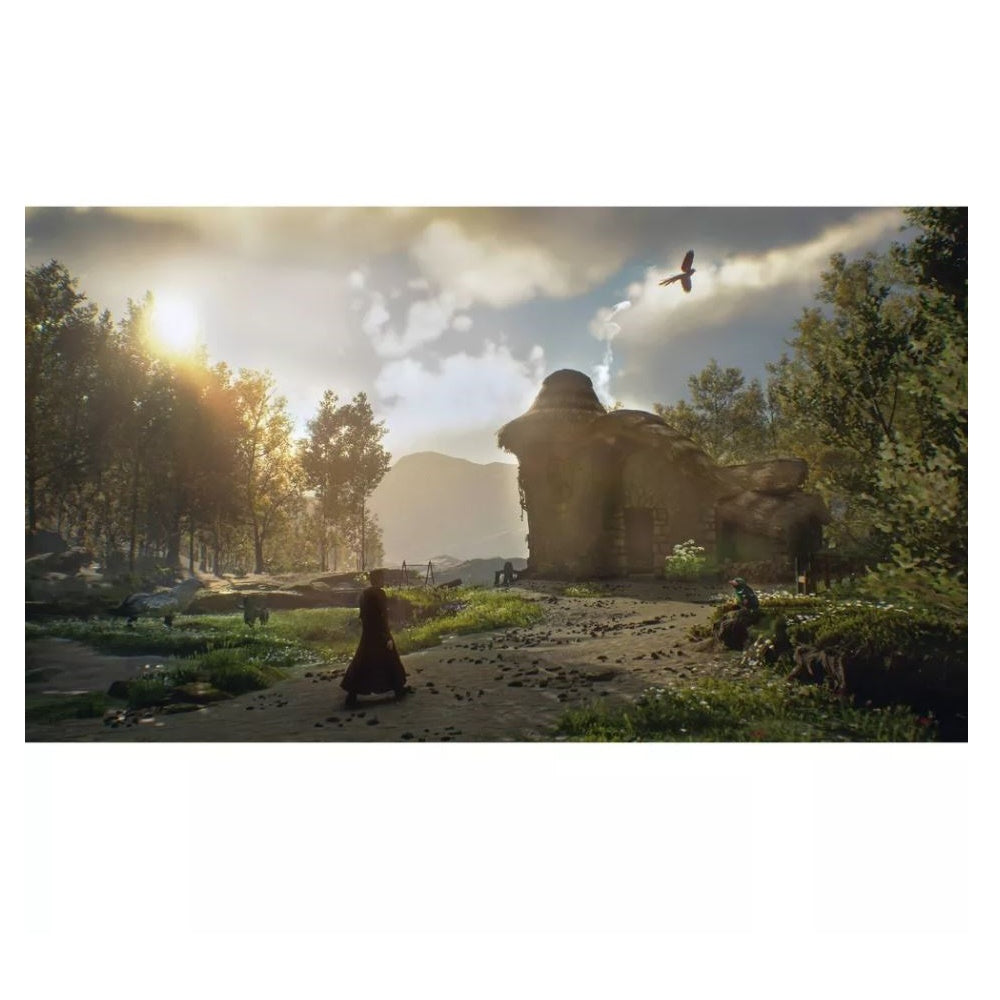 Hogwarts Legacy Standard Edition - PlayStation 5