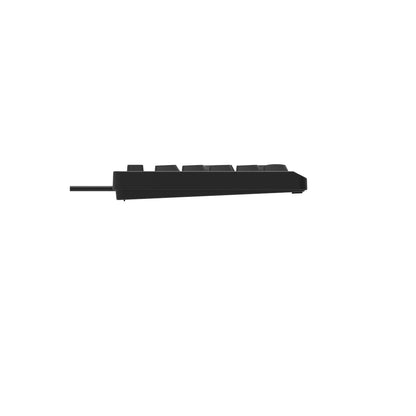 Philips USB Keyboard for Home or Office - 104/105 Quiet-Click Keys, Ergonomic, Low-Profile SPK6234