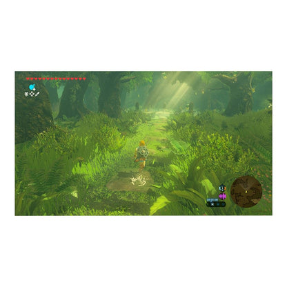The Legend of Zelda: Breath of the Wild - Nintendo Switch 2 Edition