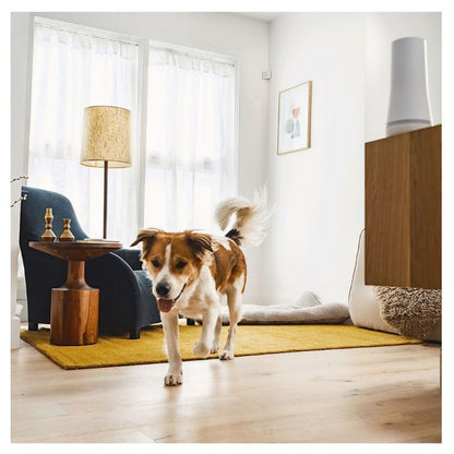 SimpliSafe Motion Sensor 90º Field of View, 35' Range, 2-Pack White BN001-01RUS