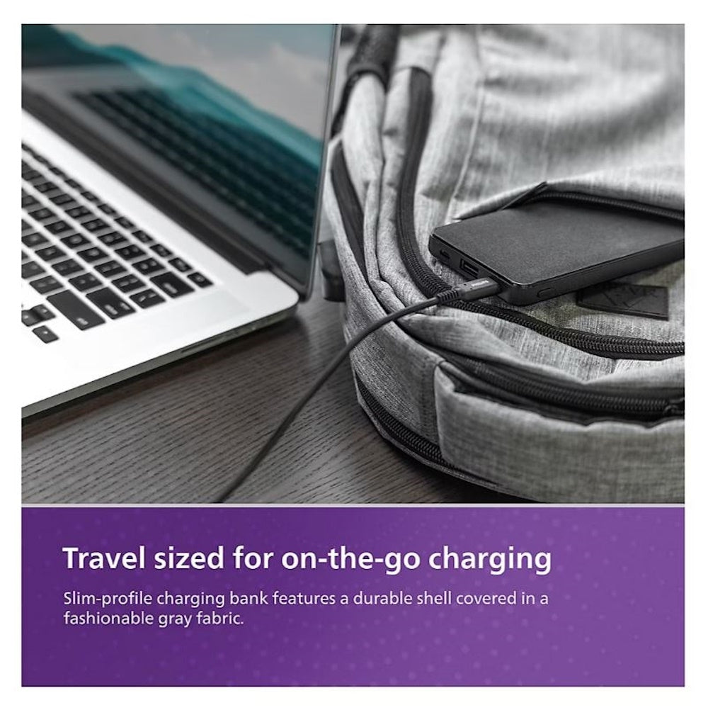 Philips 10,000 mAh Battery Pack, 2 pk. - Gray DLP9693GR37