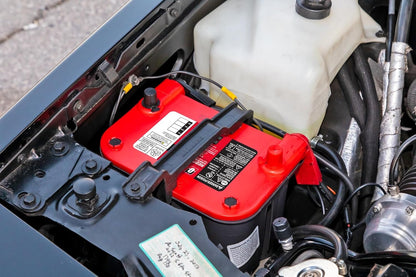 OPTIMA Batteries High Performance 6V REDTOP Sealed AGM 6V Battery | Car, Truck and SUV Starting Battery OPT8010-044