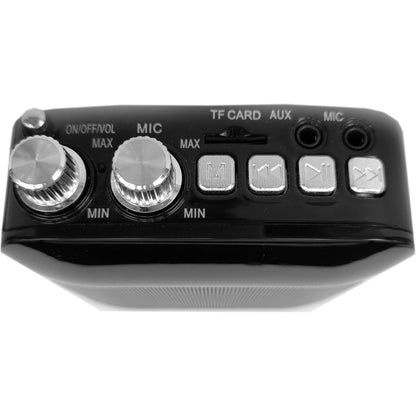 Technical Pro WASP200L Rechargeable Portable Speaker with Lavalier Microphone