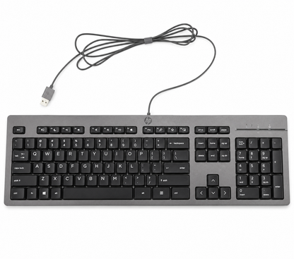 HP 125 Wired Keyboard QWERTY Black for PC Laptop N51146-001
