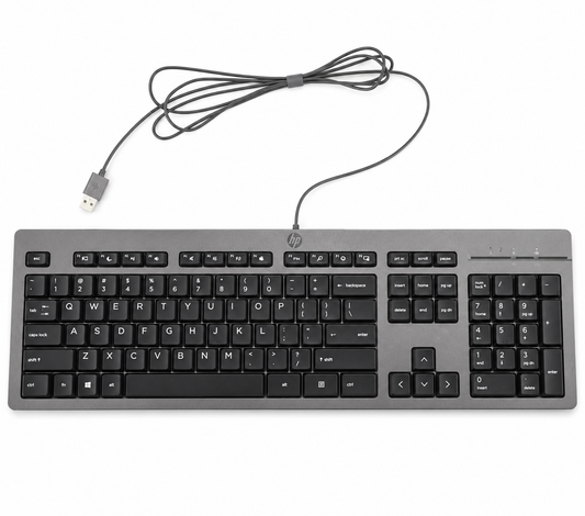 HP 125 Wired Keyboard QWERTY Black for PC Laptop N51146-001