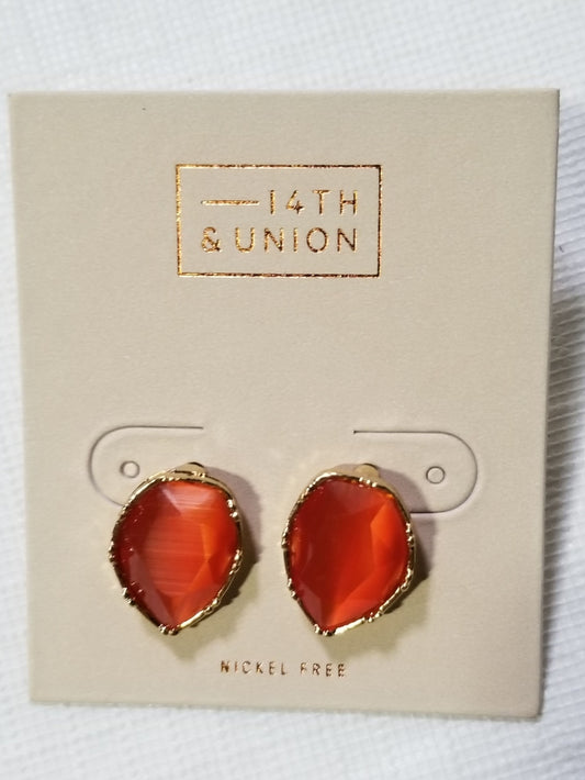 14th and Union Earrings