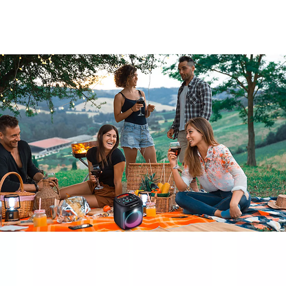 Edison Professional Block Party 2.0 Bluetooth Portable Party Speaker - 2 Pack