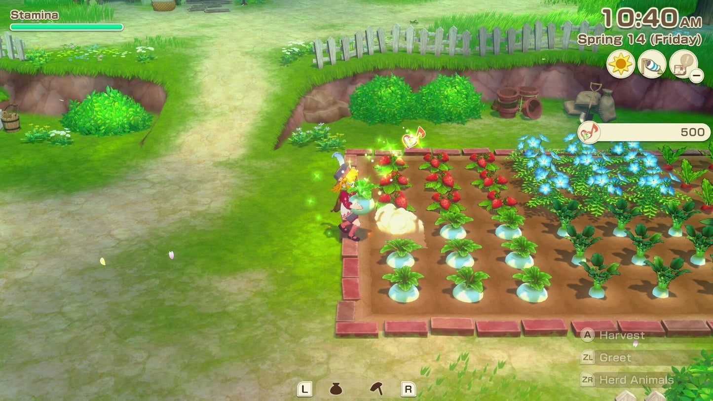 Story of Seasons: Grand Bazaar - Nintendo Switch