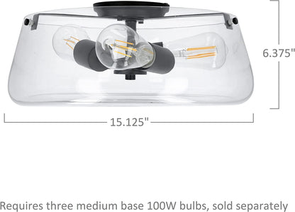 Luminance Stella Black 3 LT 100W Flush Mount Ceiling Light | Modern Metal Fixture Round Clear Glass Shade F27024-31