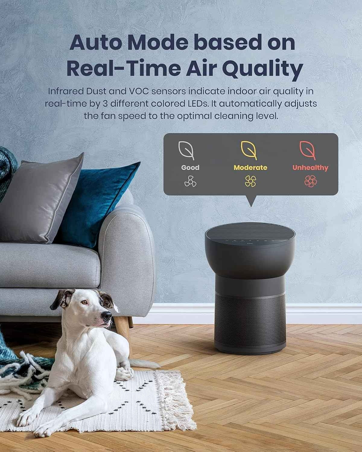 TCL Breeva A2 Air Purifier and Humidifier, Up to 882 Sq Ft, 4-Stage True HEPA (H13), Removes 99.97% of Dust/Bacteria/Odors & More, Auto Shield, Quiet, Black