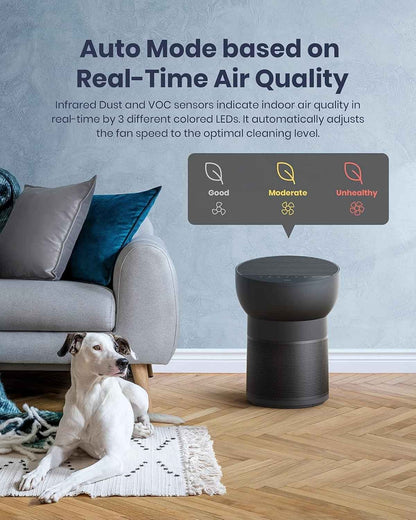 TCL Breeva A2 Air Purifier and Humidifier, Up to 882 Sq Ft, 4-Stage True HEPA (H13), Removes 99.97% of Dust/Bacteria/Odors & More, Auto Shield, Quiet, Black