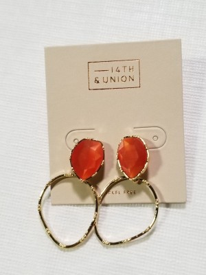 14th and Union Earrings