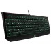 Blackwidow Ultimate Mechanical Keyboard