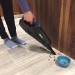 Shark Handheld Vacuum, Gray - LV901